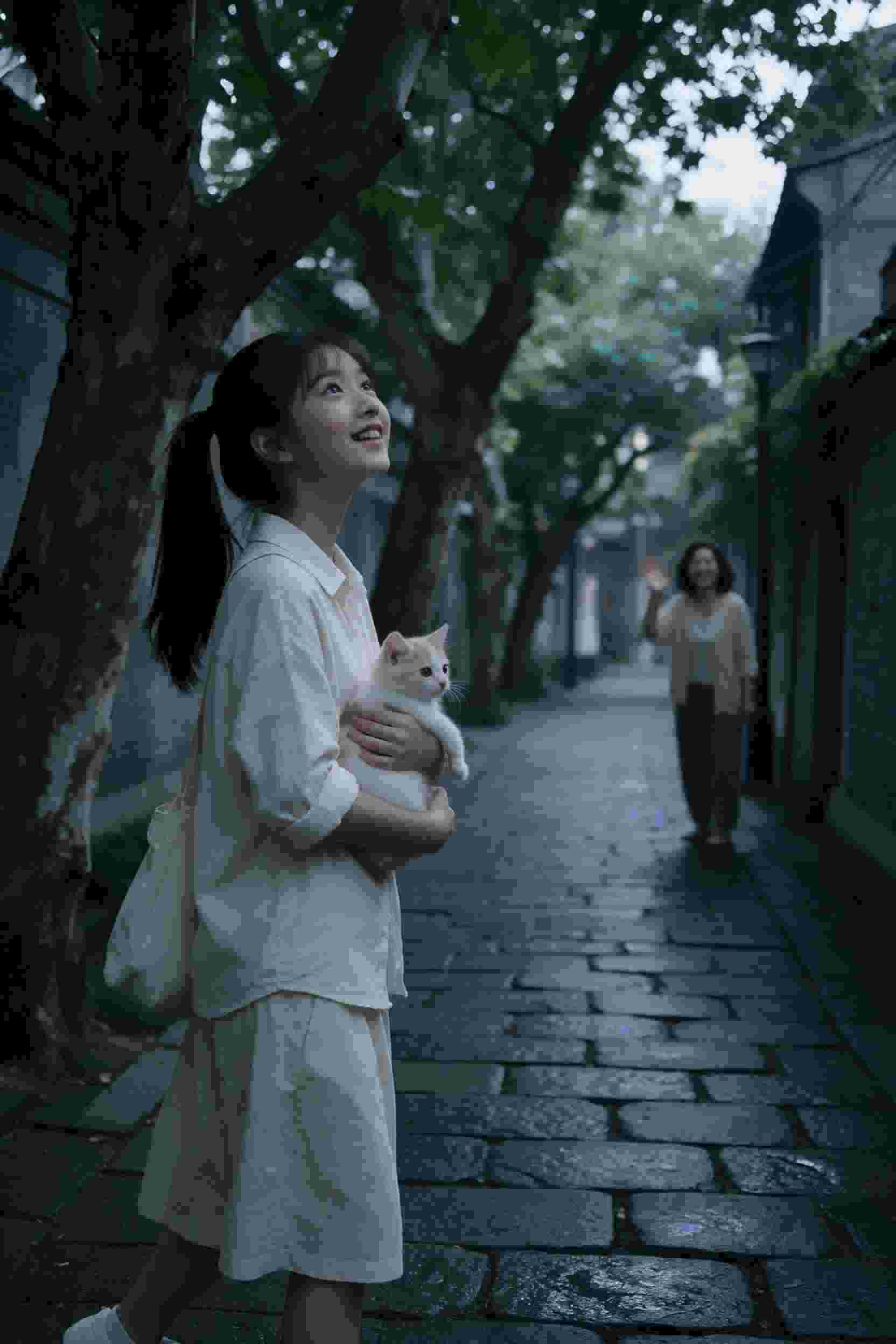 恋爱禁区